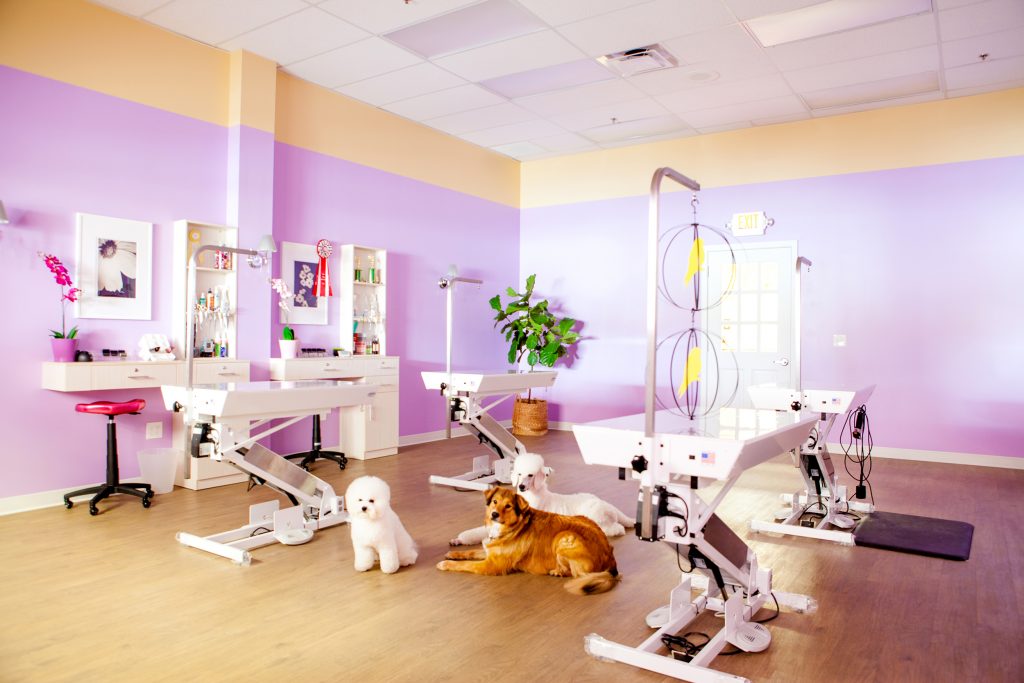 A Paw Print Grooming Salon in Fairfield County, Connecticut The